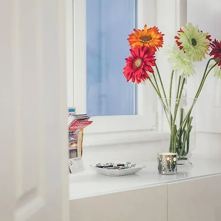 Apartamento Do Carmo *